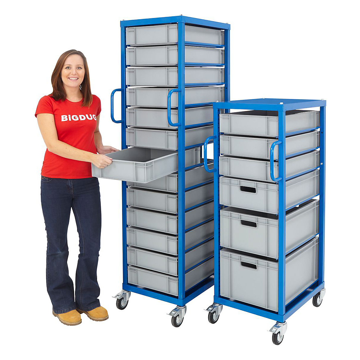Euro Container Trolleys