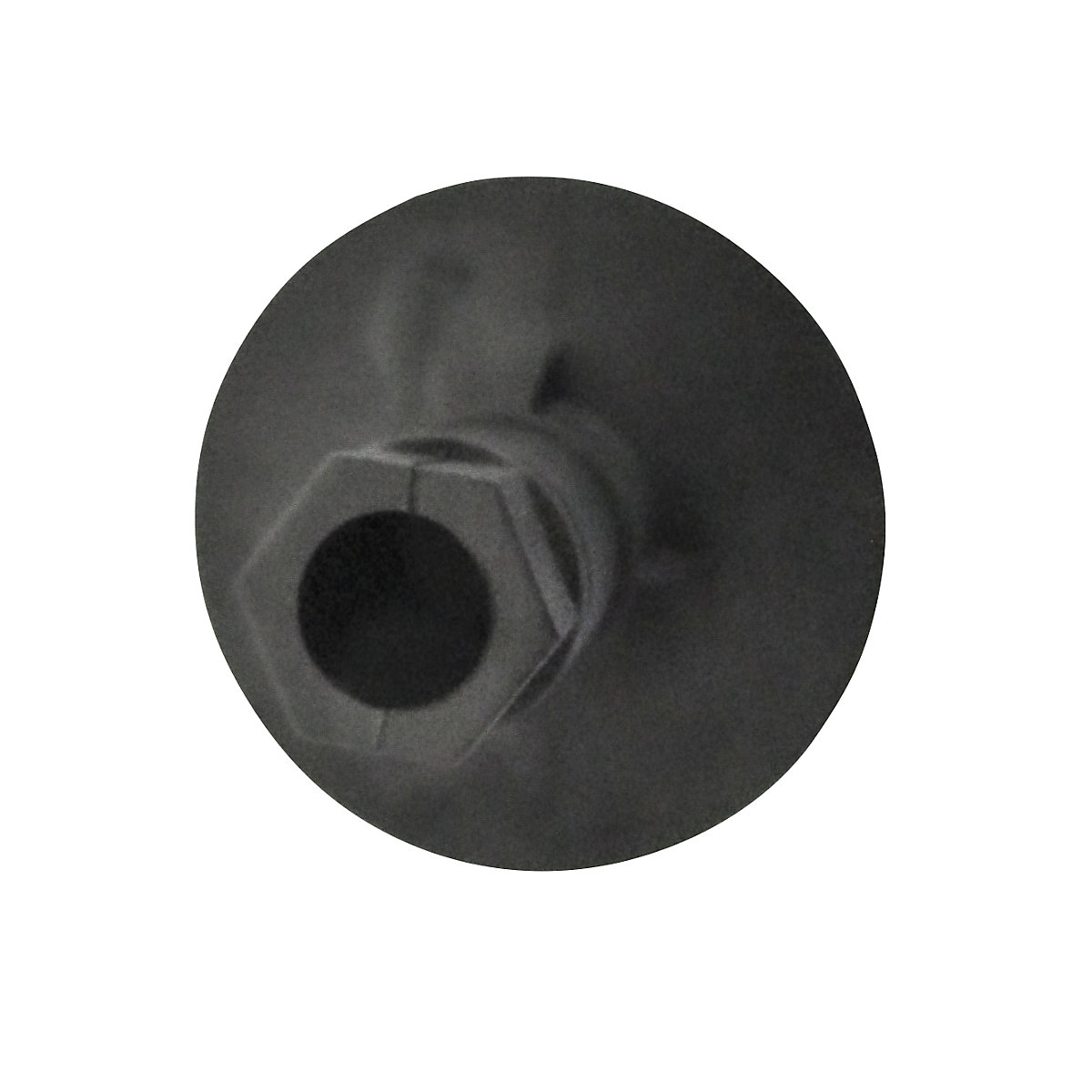 Csiga (Termék képe 3)-2