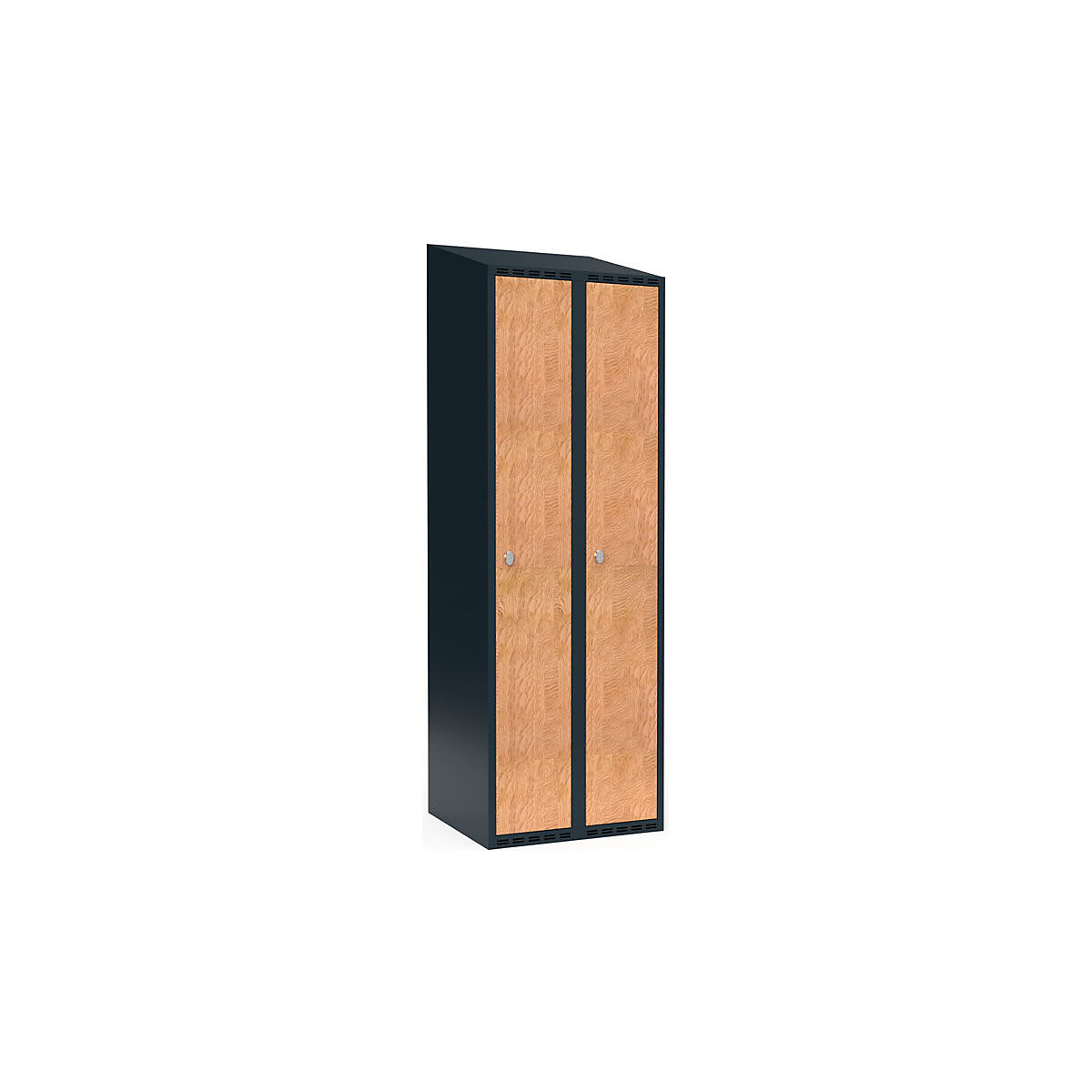 Szafka Fydor, 2 przedziały, szara / dąb, szer. 600 mm, 2 przedziały, spadzista góra, kłódka-0
