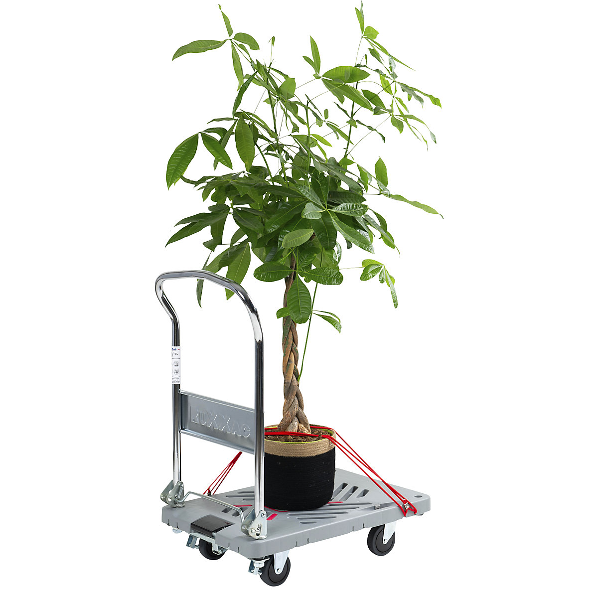 Platformwagen RuXXac Dandy (Productafbeelding 11)-10