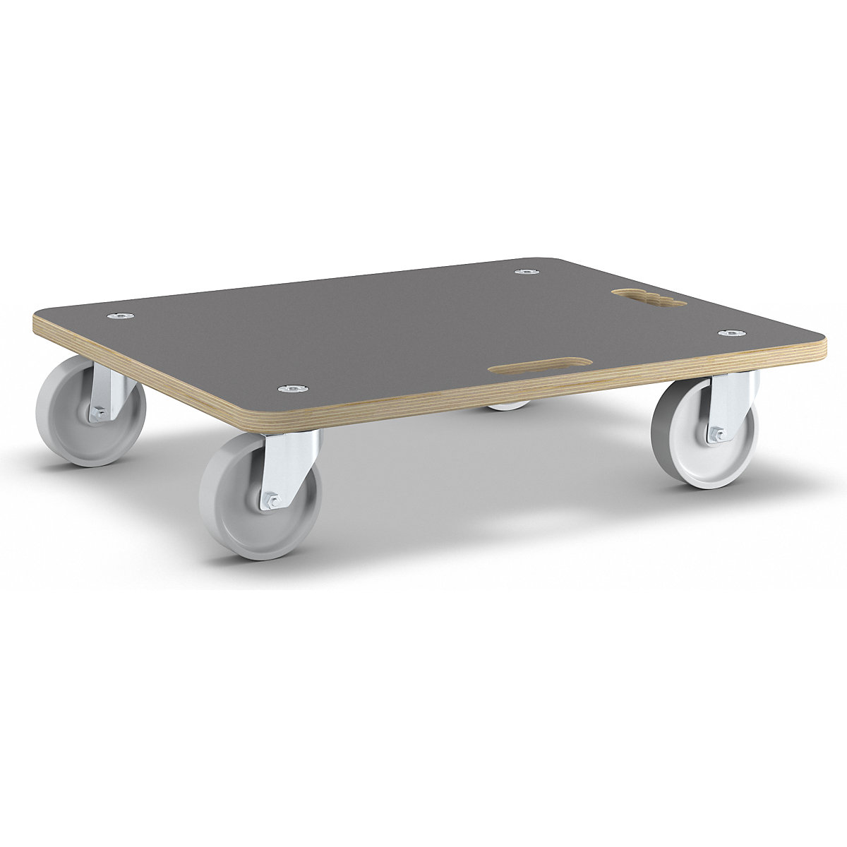 Rodado de transporte MaxiGRIP – Wagner