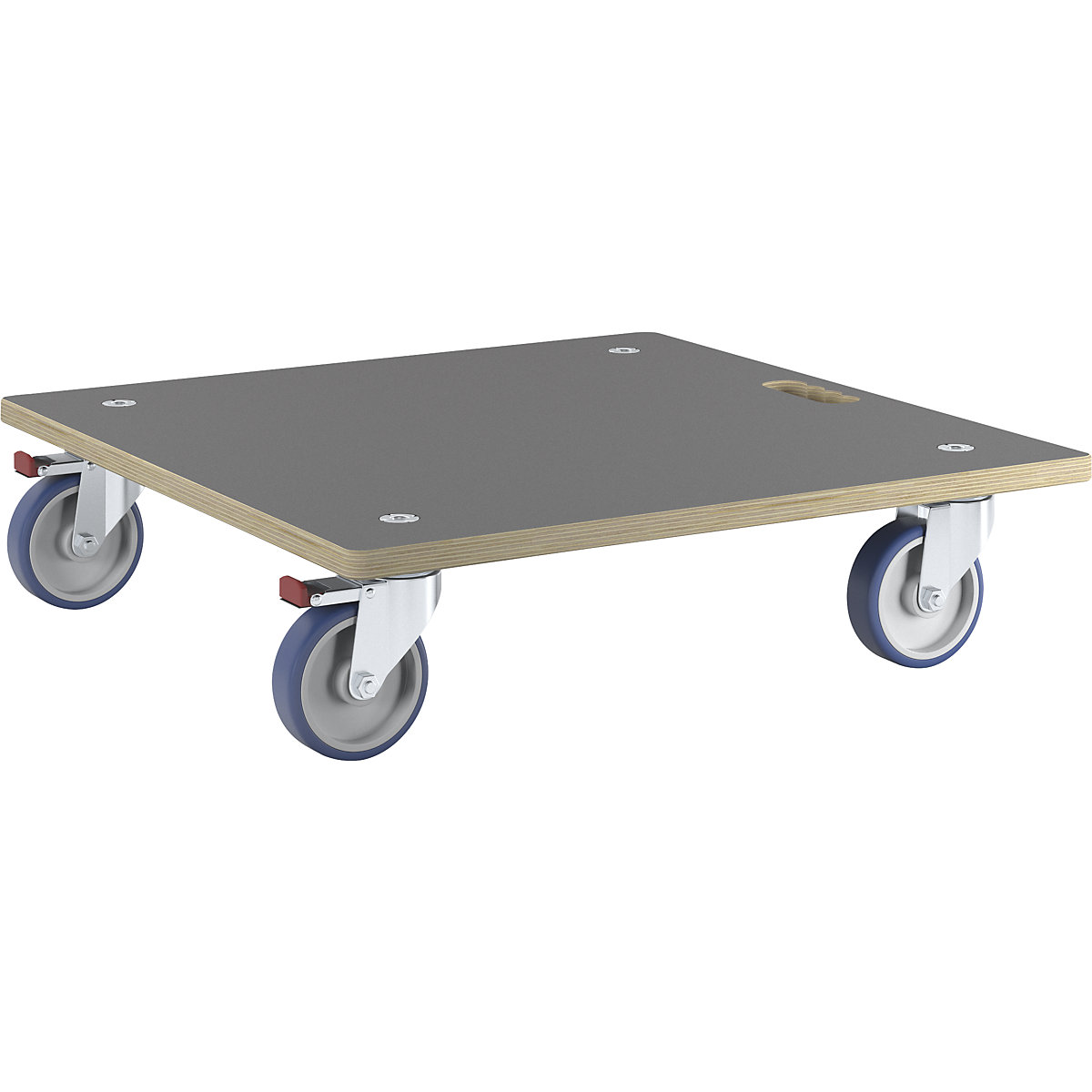 Rodado de transporte MaxiGRIP – Wagner