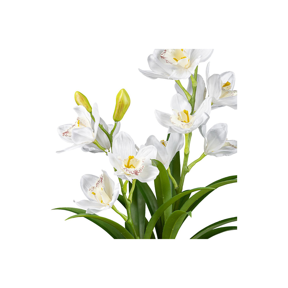 Orchidea artificiale Cymbidium (Foto prodotto 4)-3