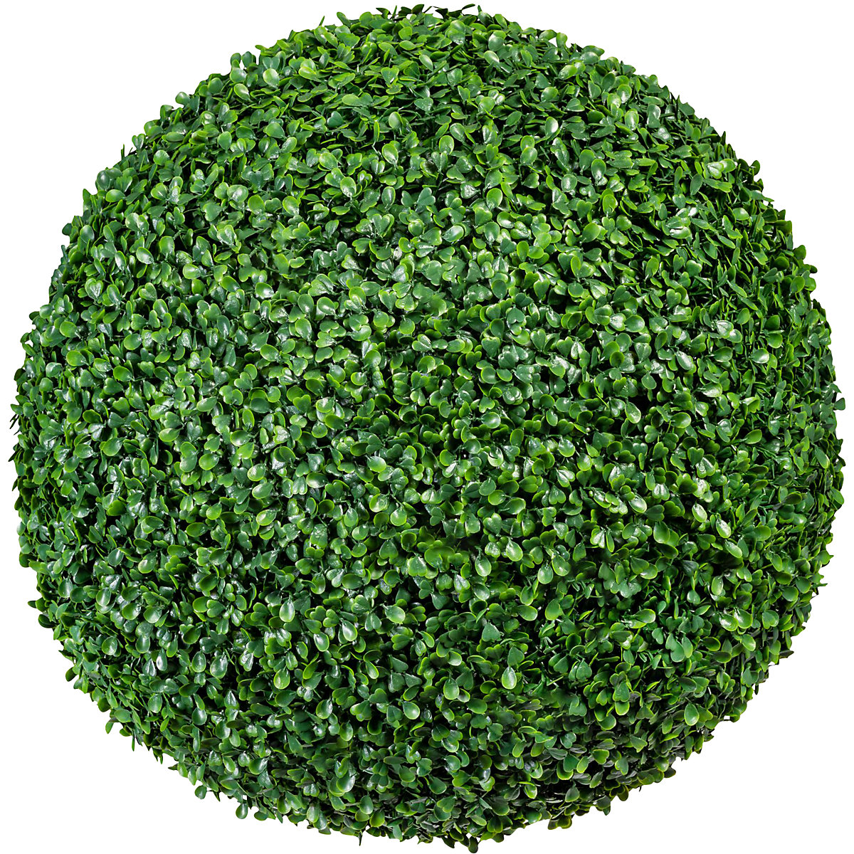 Palla di bosso