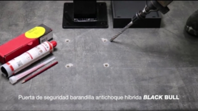 BLACK BULL Geländer-Tür mit Gasdruckfeder (Produktabbildung 3)-2