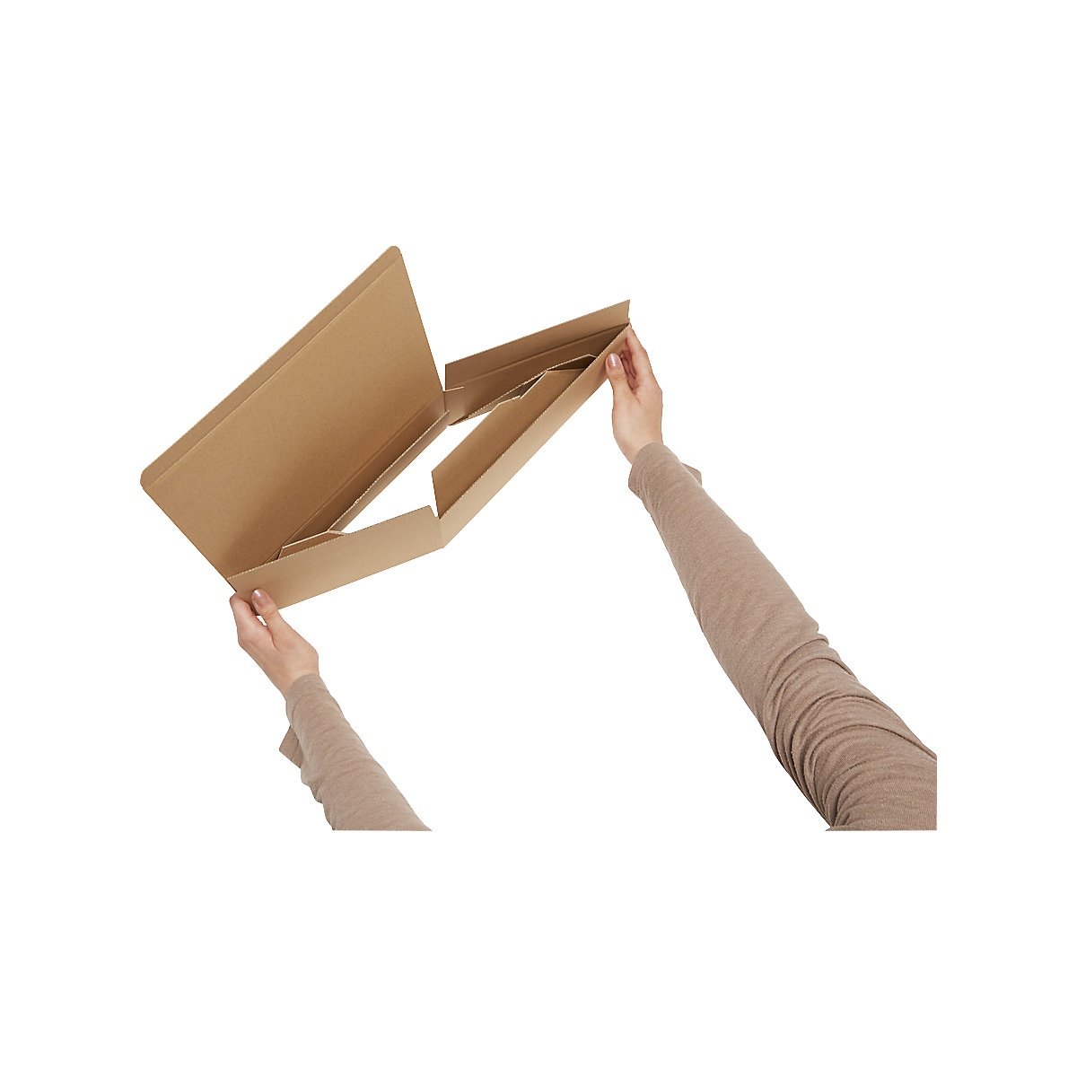 Blitzbox ratioform economy (Produktabbildung 2)-1