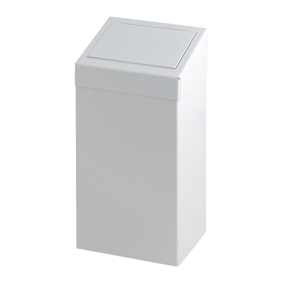 Wall mounted waste collector with deposit flap