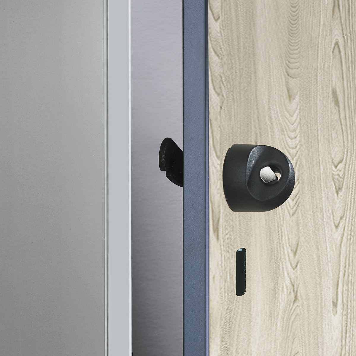 Rotary security bolt – C+P