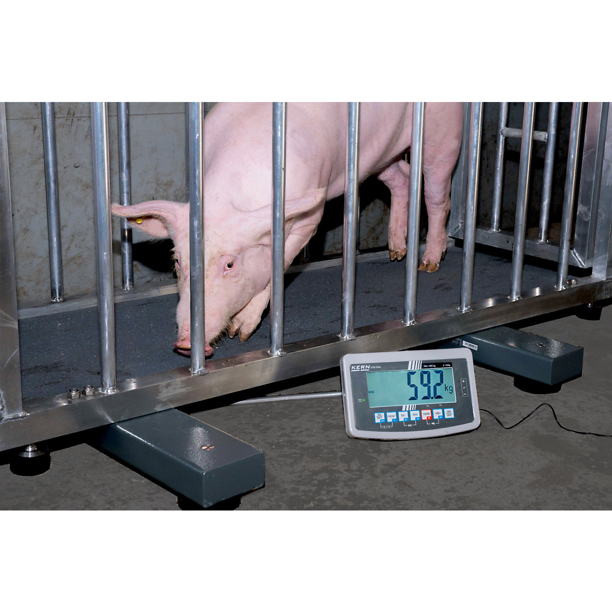 UFA weighing beam – KERN (Product illustration 2)-1