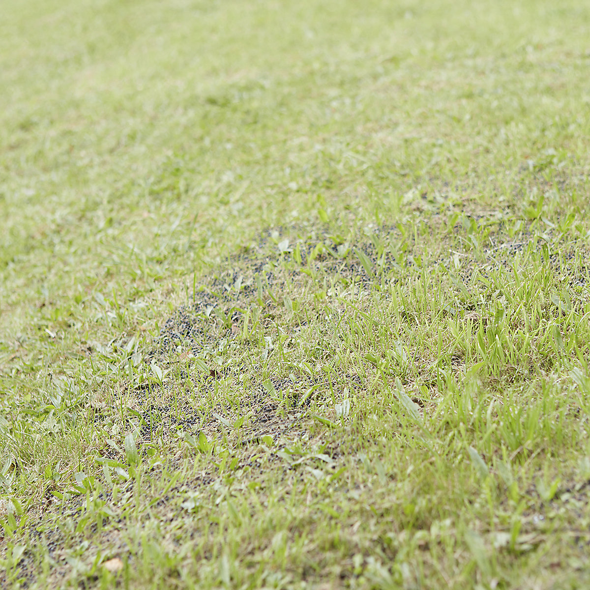 BiGDUG Outdoor Grass Protection Locking Mats (Product illustration 3)-2