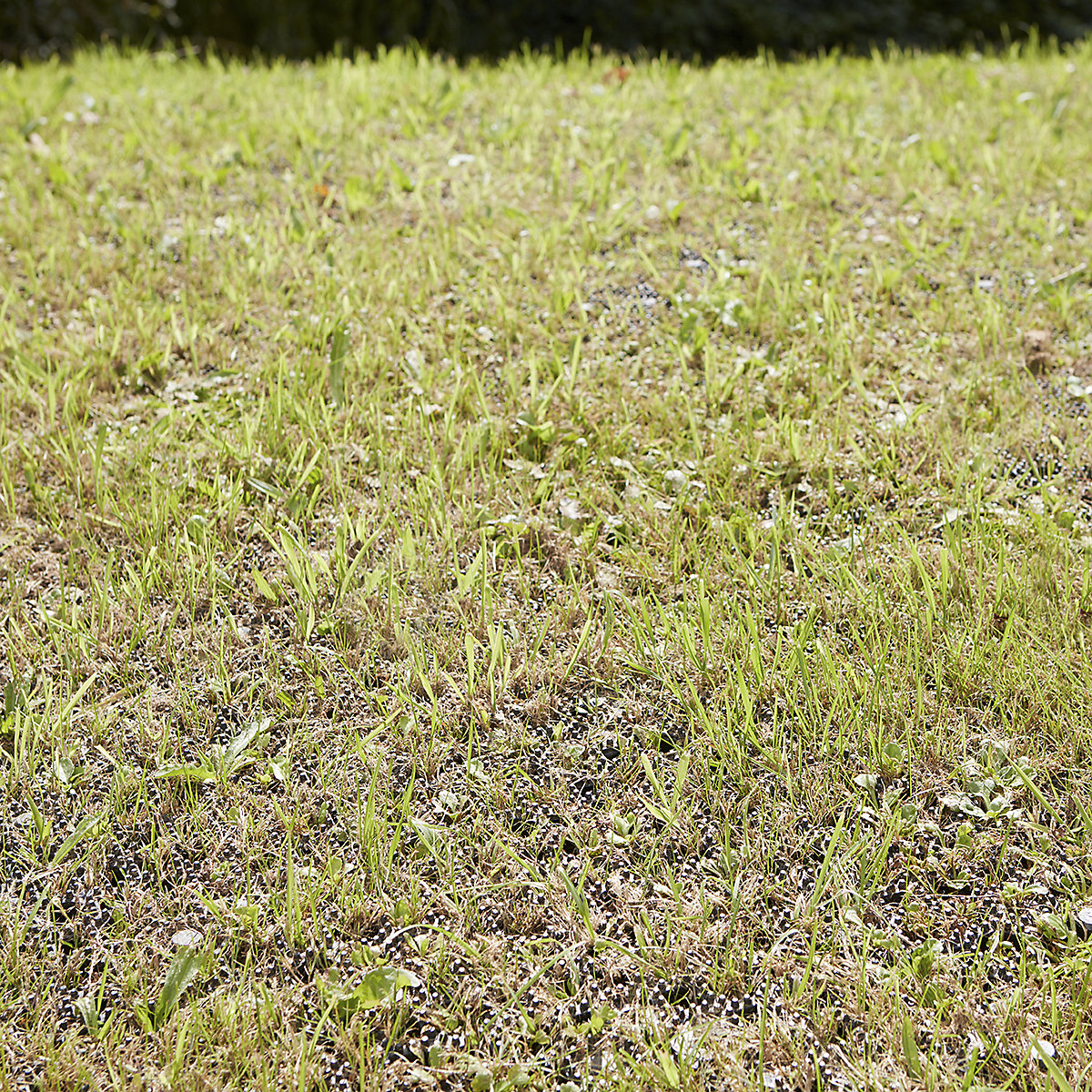 BiGDUG Outdoor Grass Protection Locking Mats (Product illustration 10)-9