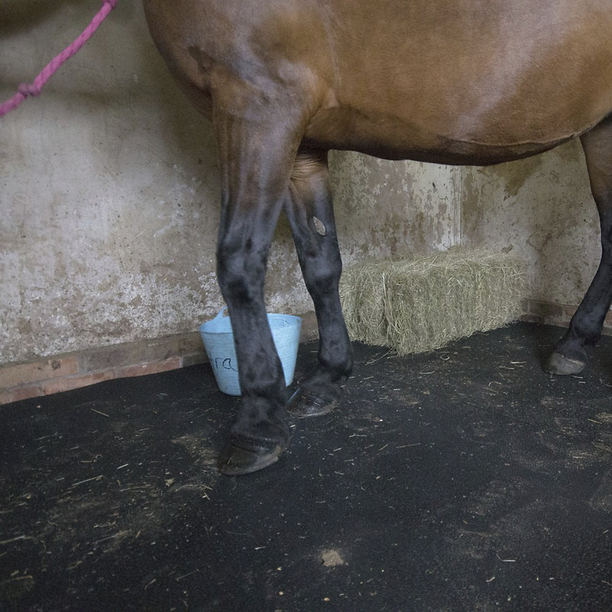 COBA Europe | Stable Rubber Horse Mats (Product illustration 4)-3