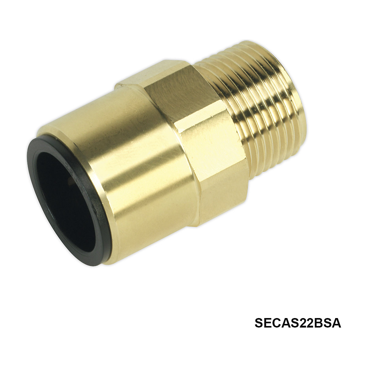 JG Speedfit Brass Straight Adaptors (Product illustration 2)-1