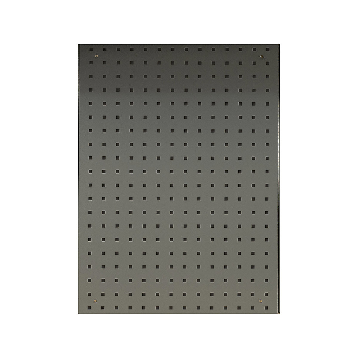 BiGDUG Garage Wall Mounted Tool Panels