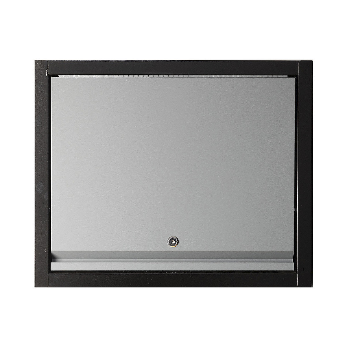 BiGDUG Garage Wall Storage Cupboard