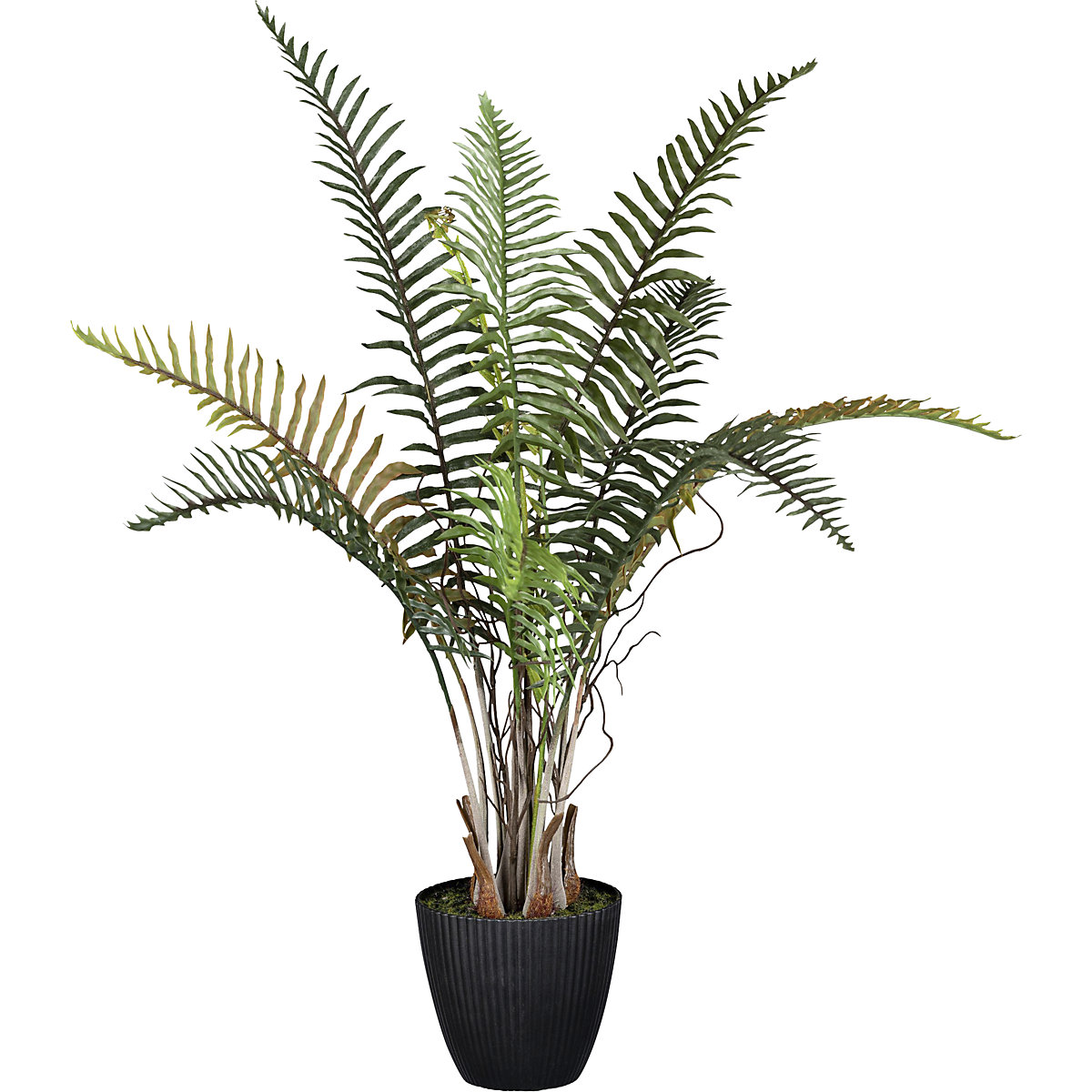 Sztuczna roślina paproć Blechnum (Zdjęcie produktu 2)-1