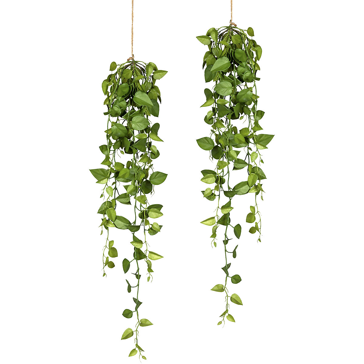 Filodendron k zavěšení, sada 2 kusů, délka 950 mm-0