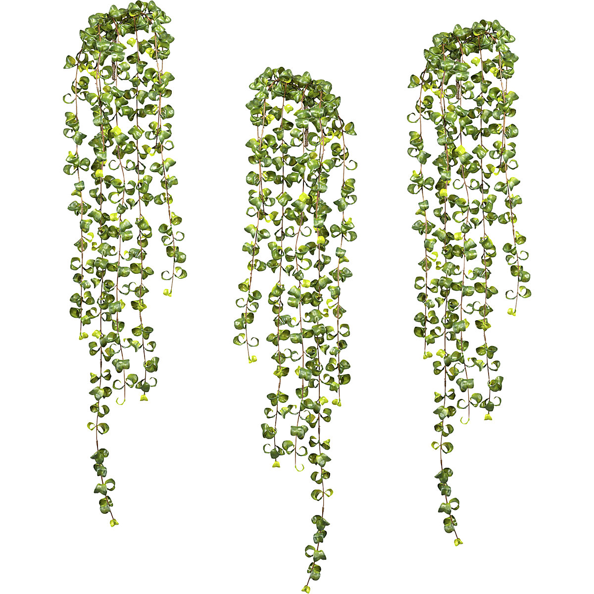 Závěsné listy rostliny Ficus Barock, bal.j. 3 ks, délka 1000 mm-0