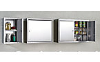 Stainless steel wall cupboard