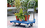 Platform trolley with robust plastic platform