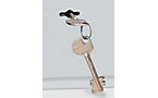 Doppelbart-Sicherheitsschloss