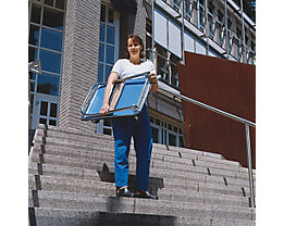 Platform truck steel zinc plated