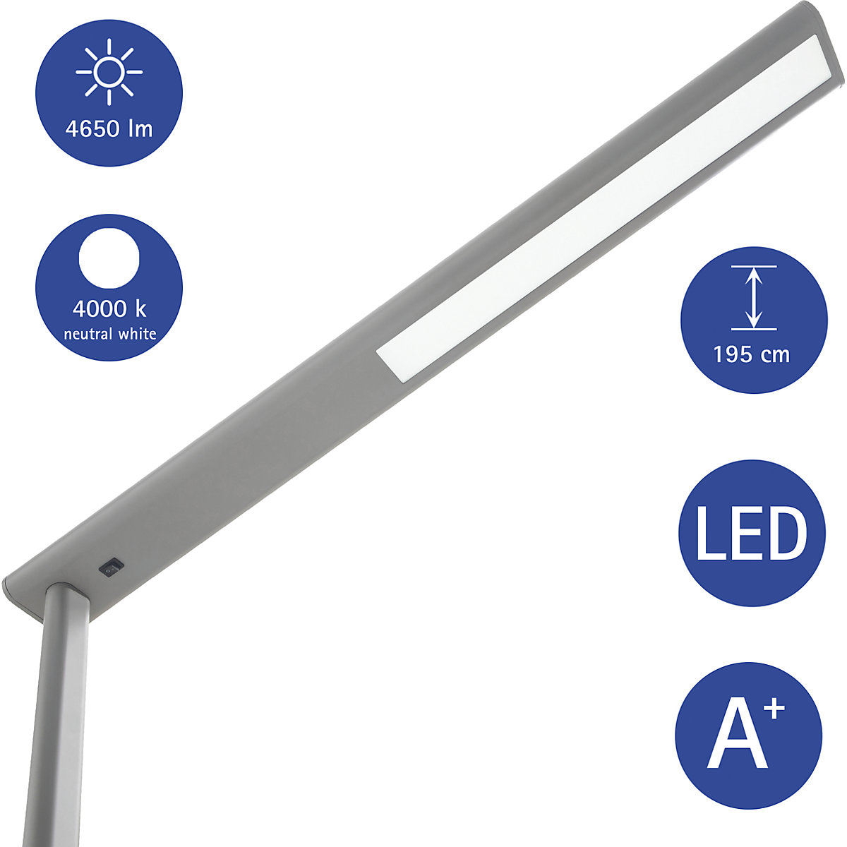 Lampe à diodes LED sur pied MAULjet – MAUL (Illustration du produit 6)-5