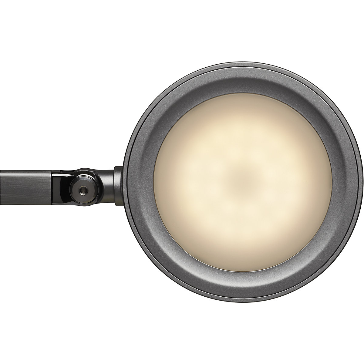 Lampe de table à diodes LED MAULgrace – MAUL (Illustration du produit 4)-3