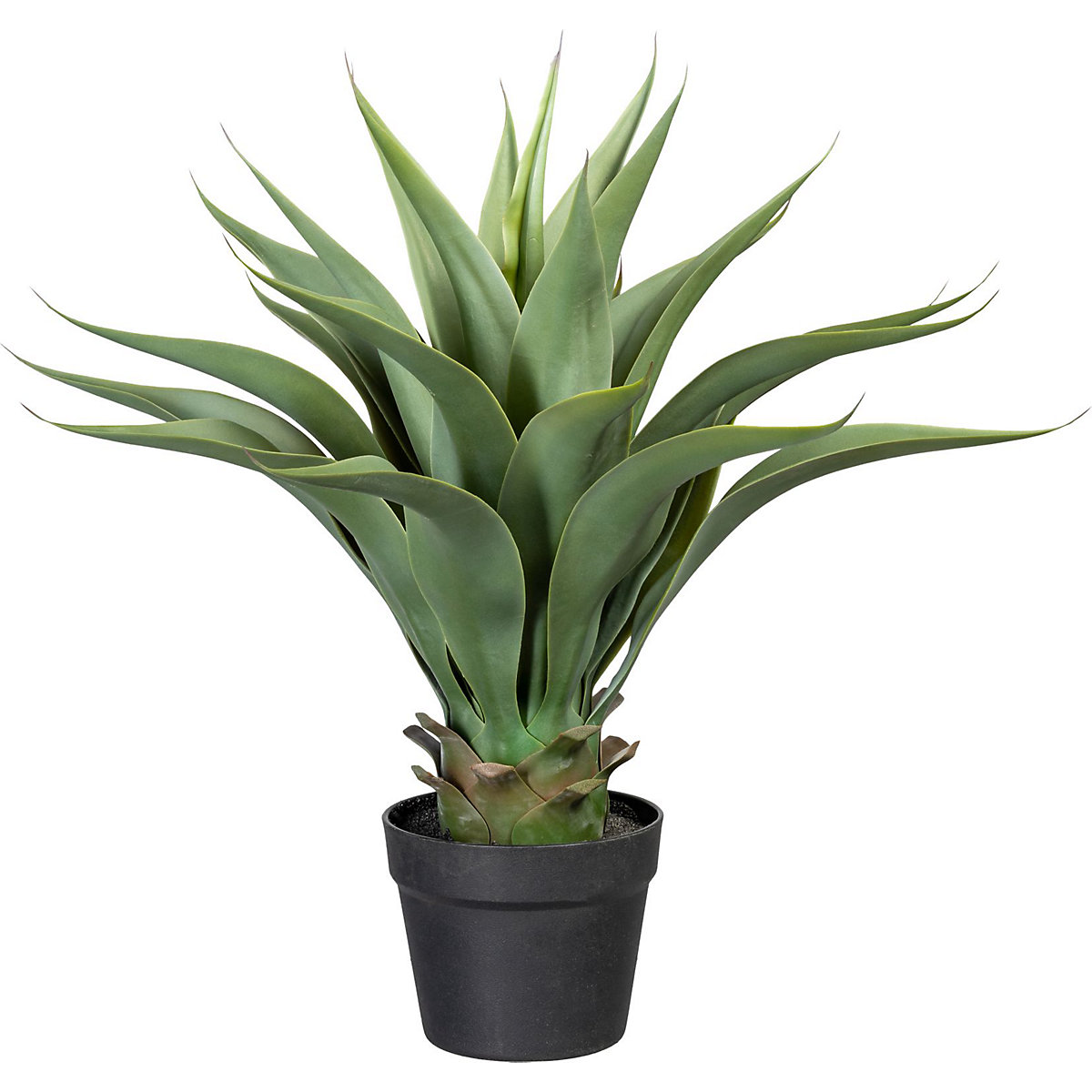 AGAVE plante artificielle