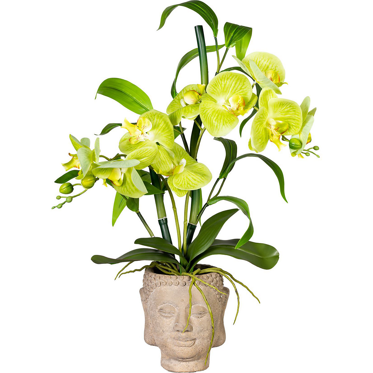 Arrangement d'orchidée et de bambous, dans un pot en ciment Bouddha, vert, real touch, hauteur 600 mm-2