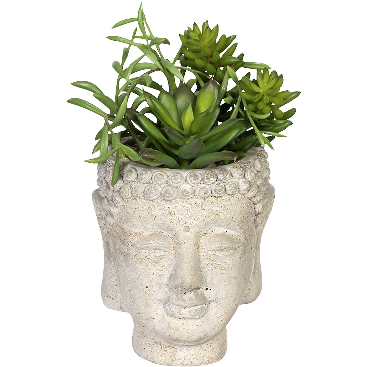 Arrangement de succulentes dans un pot en ciment «Bouddha» (Illustration du produit 3)-2