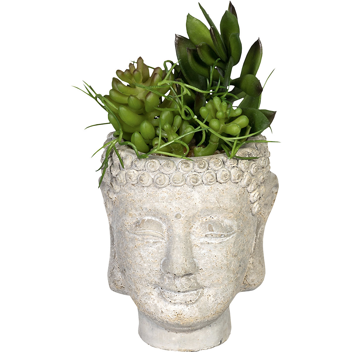 Arrangement de succulentes dans un pot en ciment «Bouddha» (Illustration du produit 2)-1