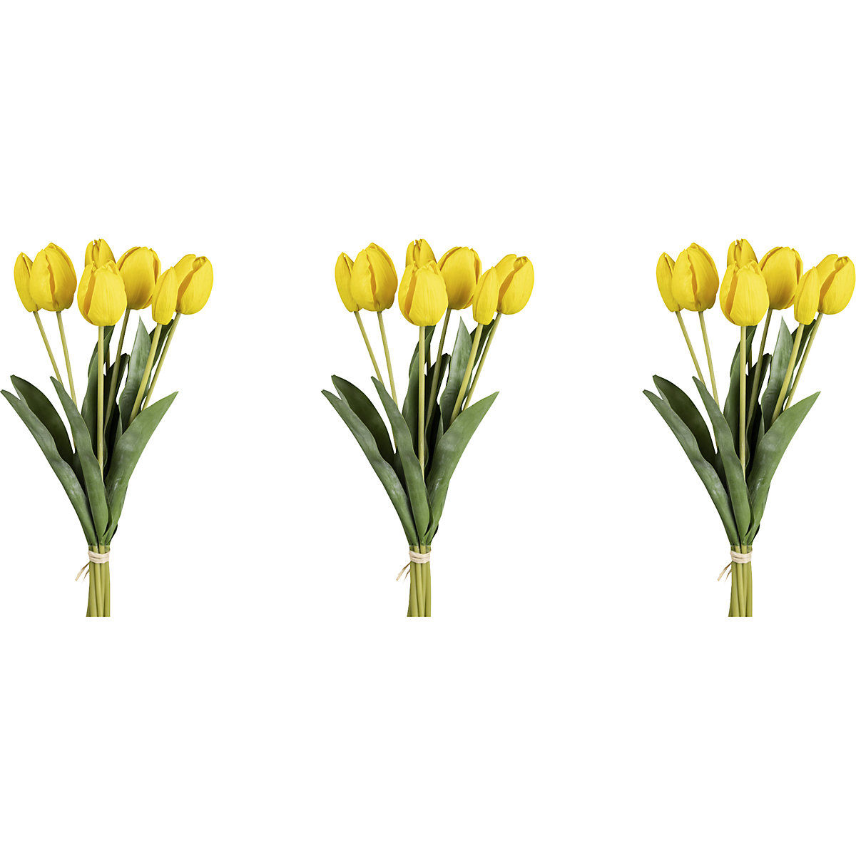 Bouquet de tulipes, sept fleurs