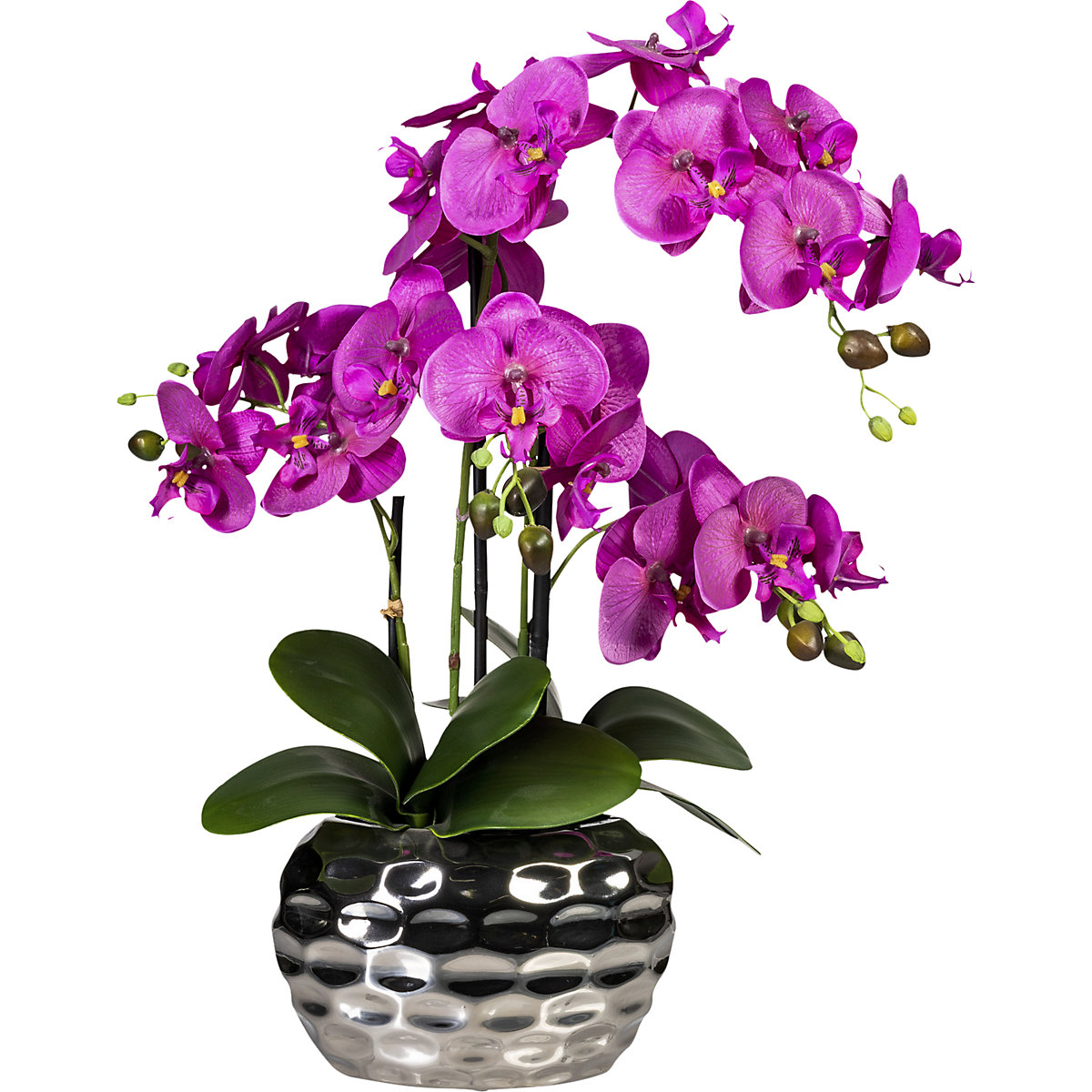 Phalaenopsis dans un vase ovale, hauteur 550 mm, fleurs violettes-2