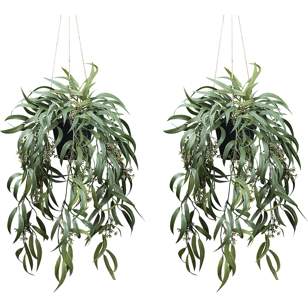 Plante artificielle Eucalyptus globulus avec fructification, kit de 2