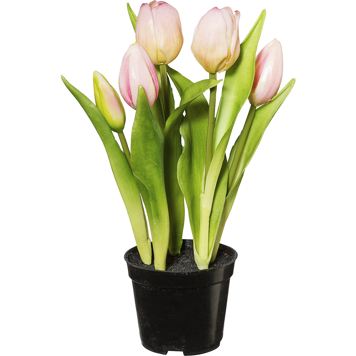 Tulipes, real touch, en pot (Illustration du produit 2)-1