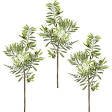 hauteur 700 mm, 7 fruits