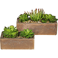 L x l x h bacs 155 x 70 x 50 mm + 200 x 80 x 60 mm