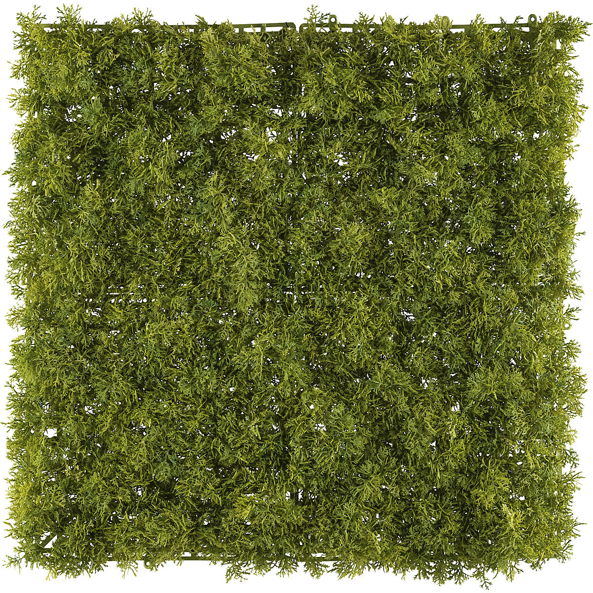Tapis de mousse d'Islande, plante artificielle