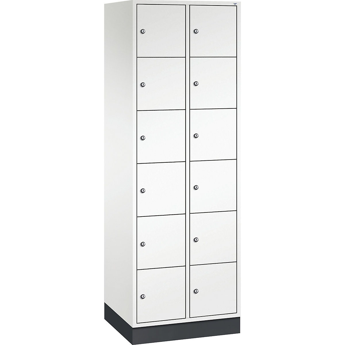 Vestiaire multicases en acier INTRO, casiers hauteur 285 mm – C+P, l x p 620 x 500 mm, 12 casiers, corps blanc pur, portes blanc pur-4