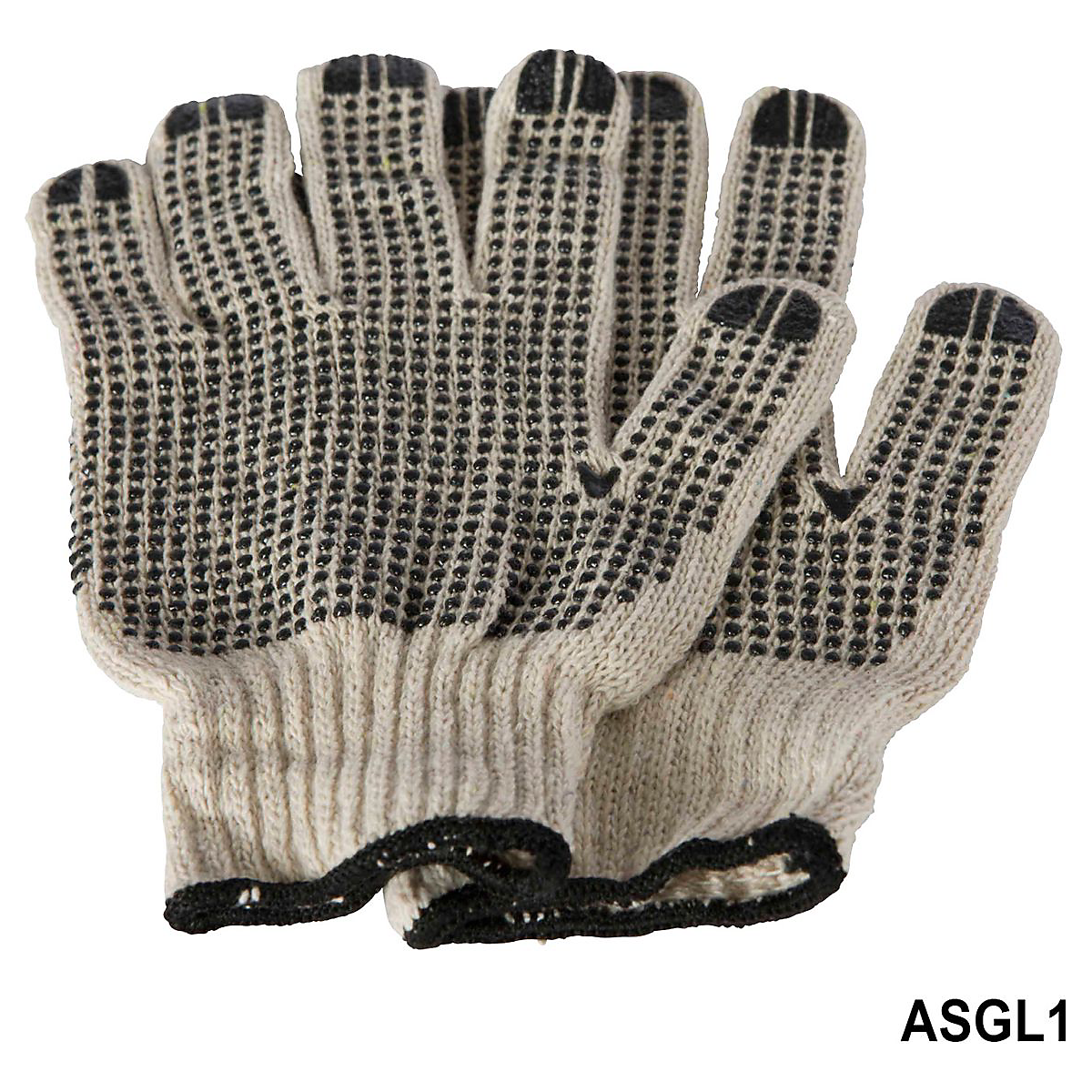 ASGL1_1