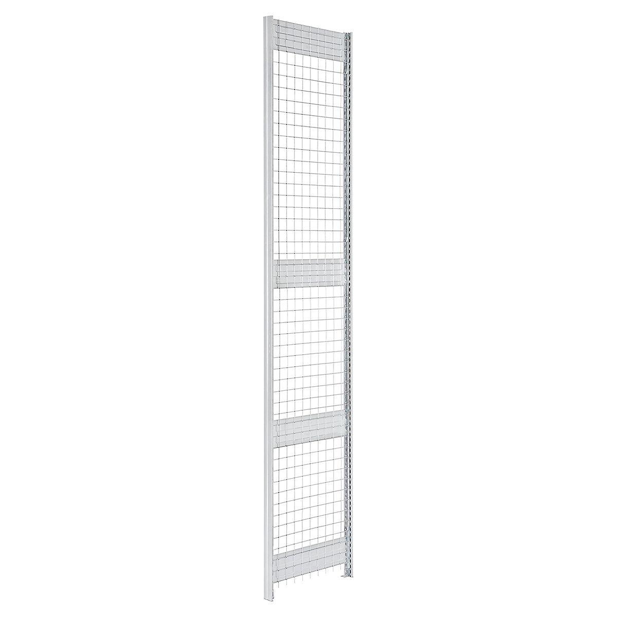 BGSMSP203_1