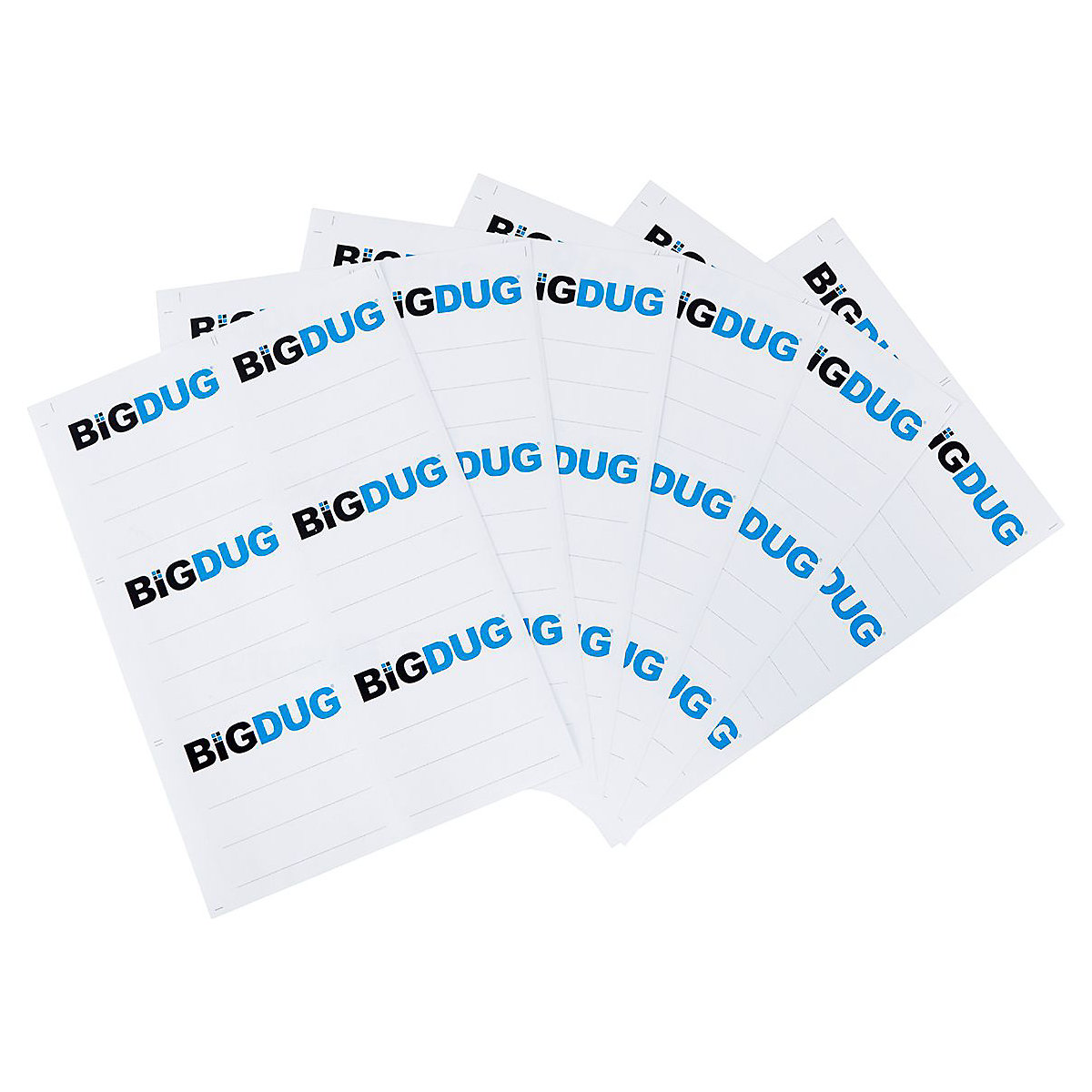 BiGDUG Box Labels | 92h x 96w mm | 6x Labels Per Sheet
