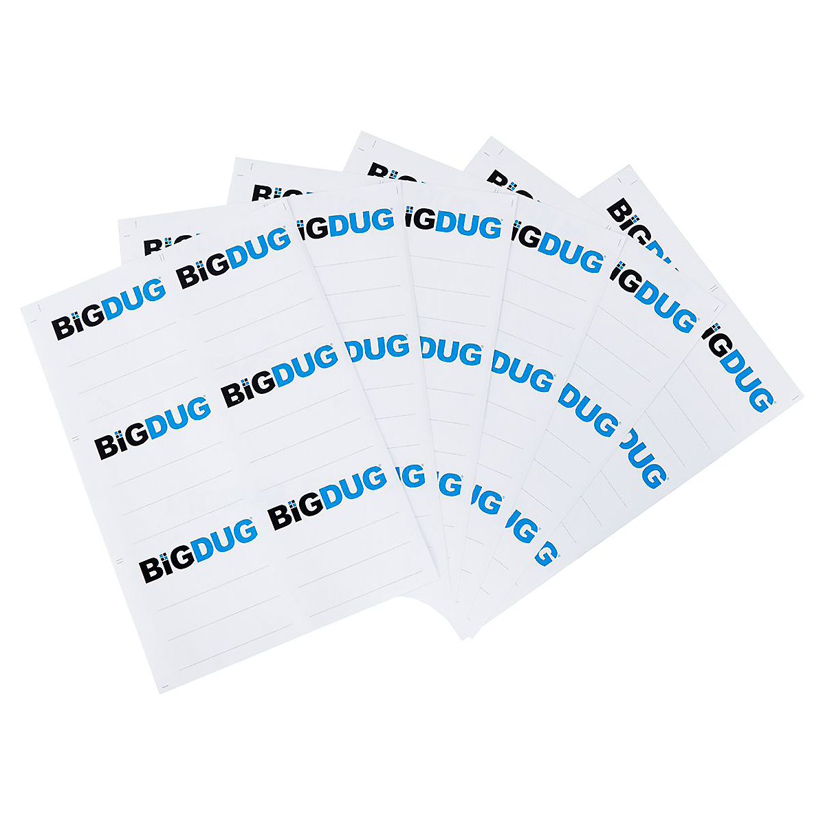 BDBOXLABEL_1