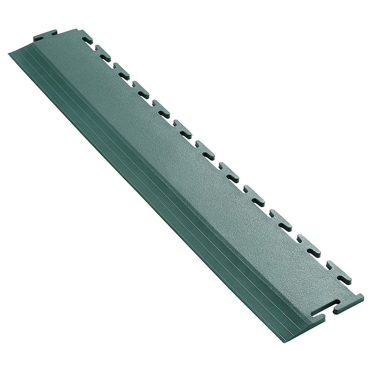 BiGDUG Industrial Edge Ramps