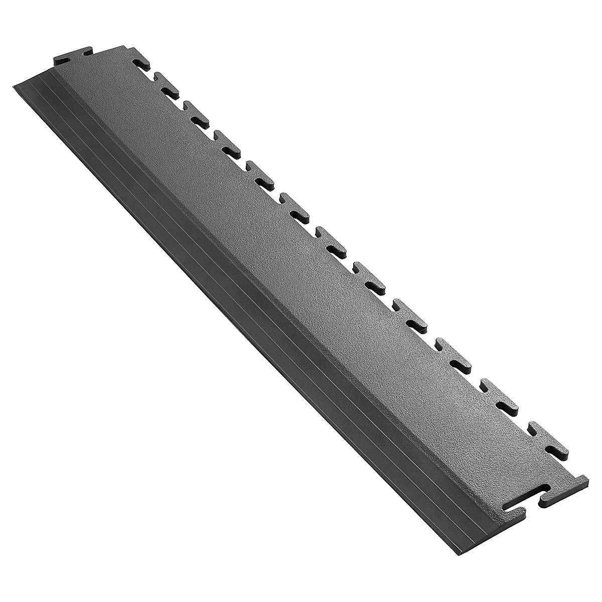 BiGDUG Industrial Edge Ramps