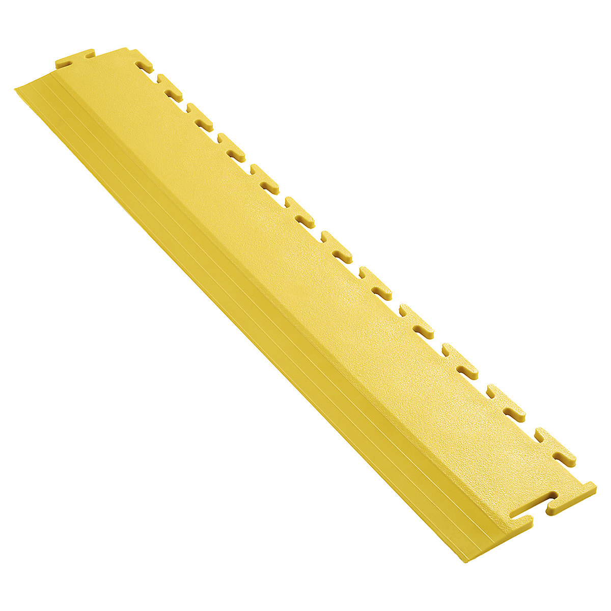 BiGDUG Industrial Edge Ramps