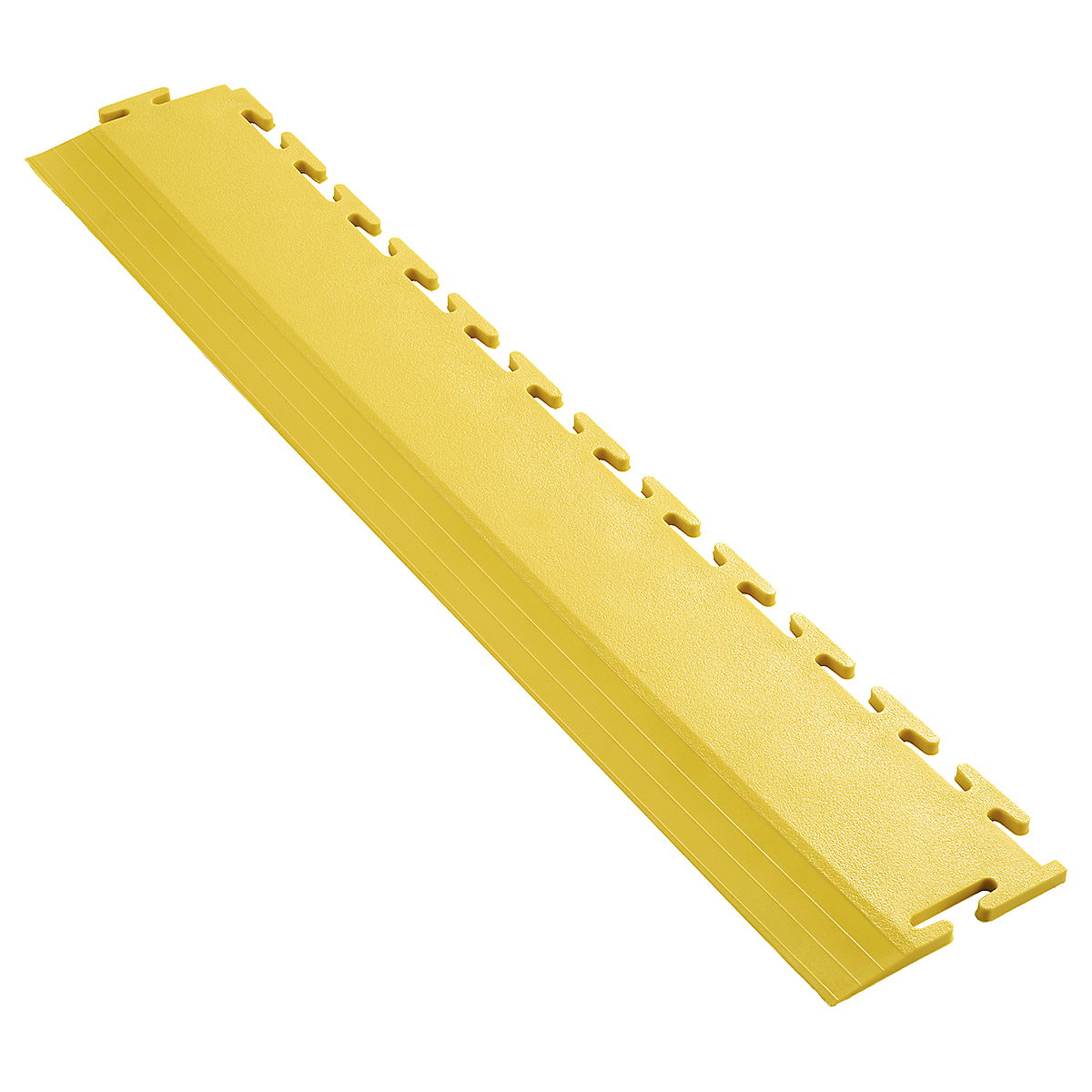 BDIERYL_1