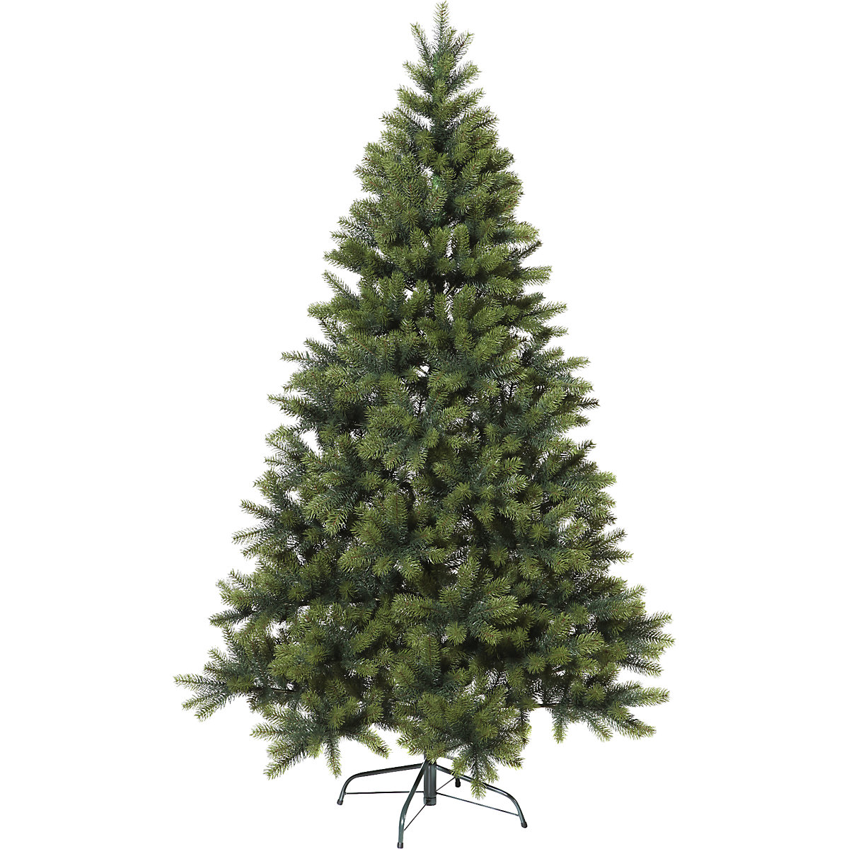 Fir tree