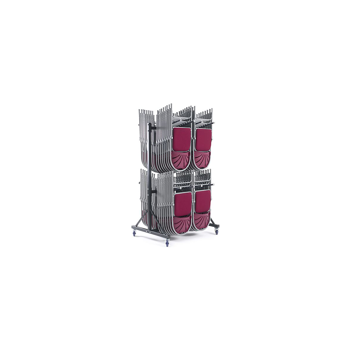 MYSCHT2_1